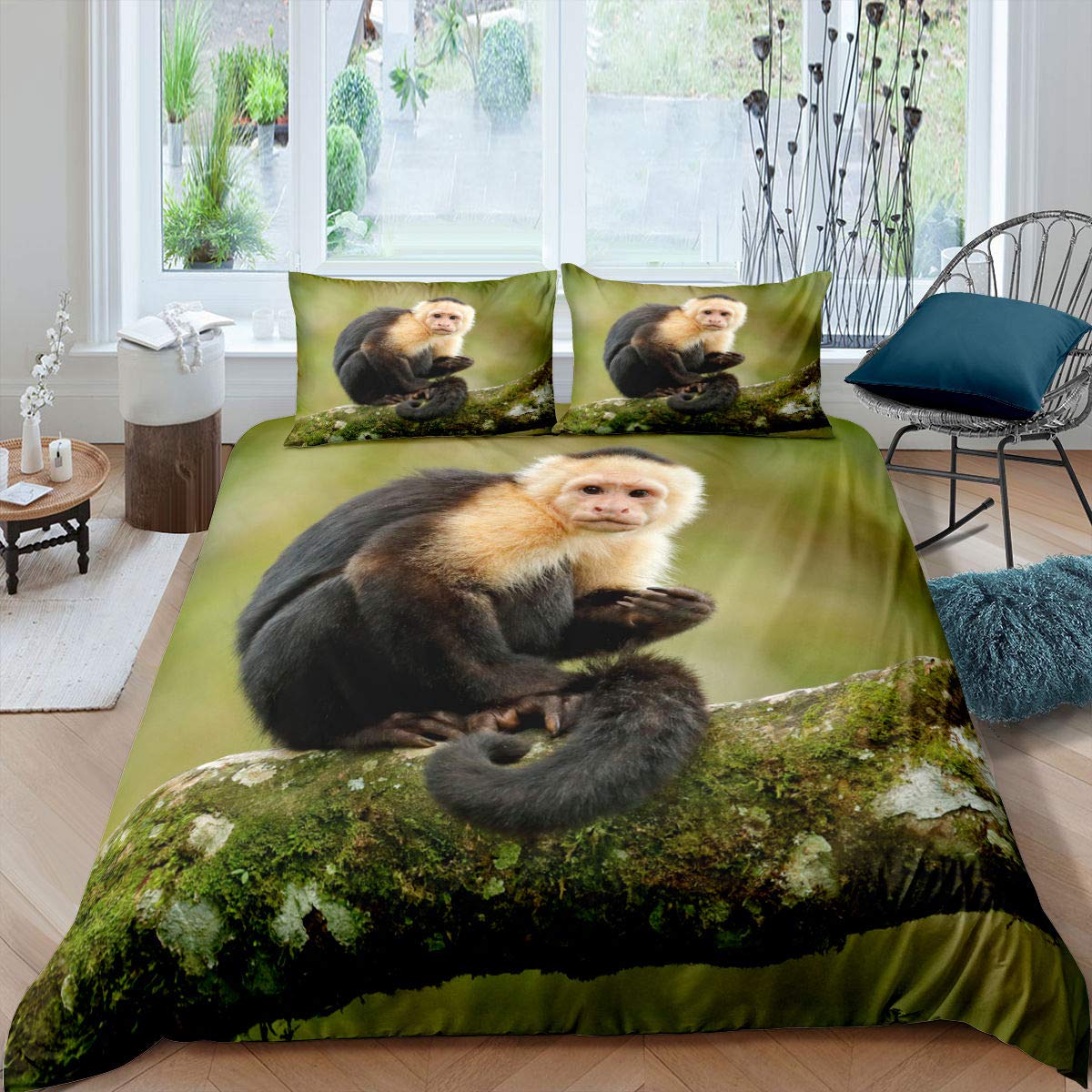 Capuchin monkey cover